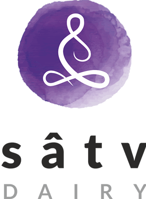 logo satv
